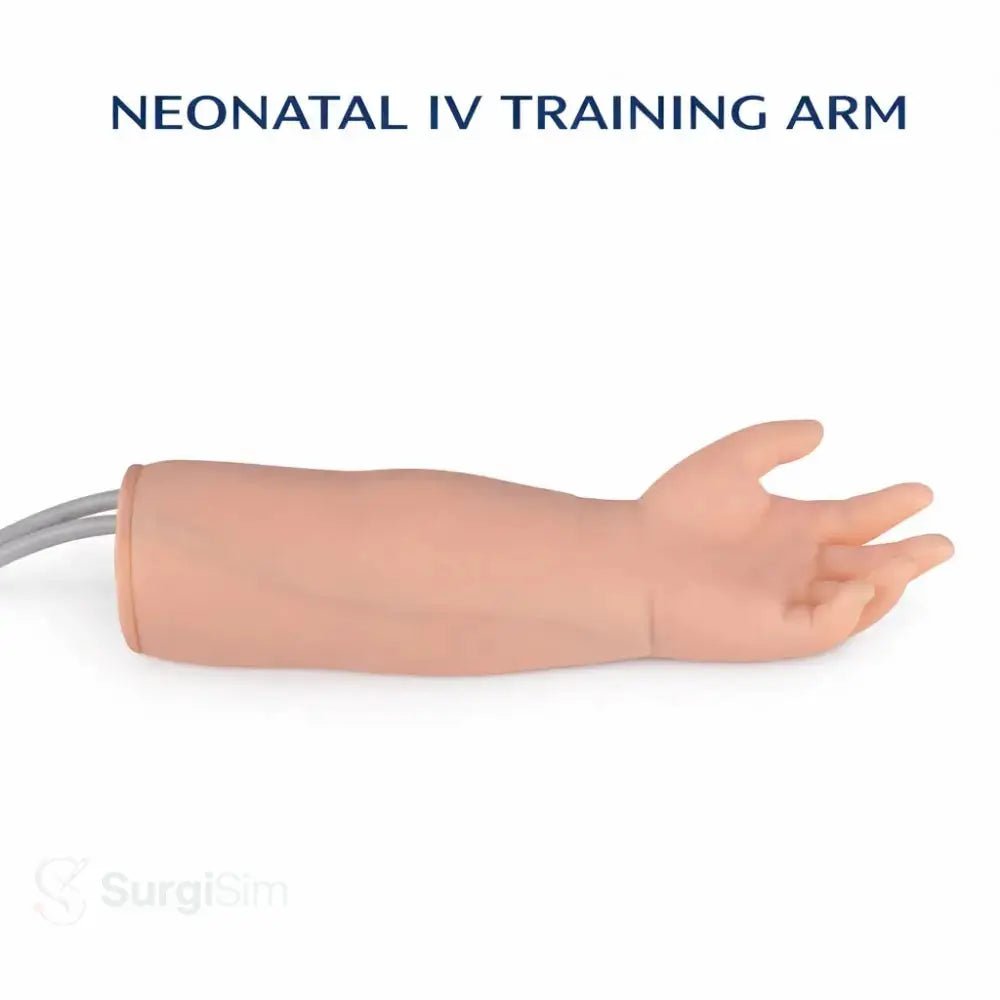 Infant venipuncture practice model
