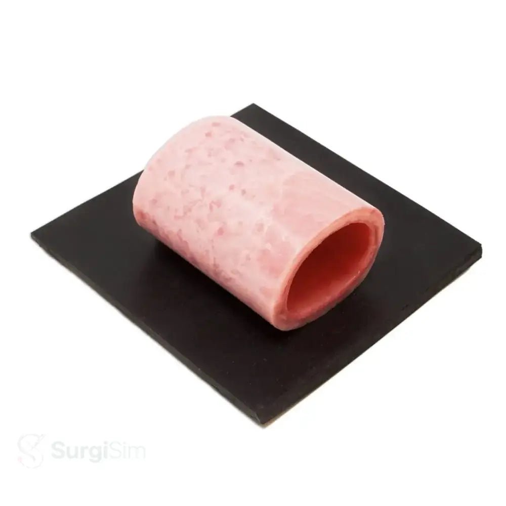 OB - GYN Surgery Sample Pack | Gynaecological Surgical Skills Training Kit - Obstetrics, Gynecology