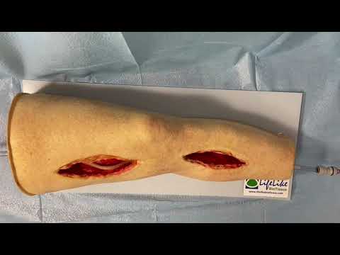 LifeLike BioTissue Femoral Leg Simulator