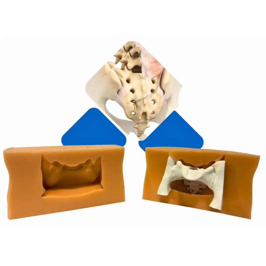 Sacral Neuromodulation (SNM) Simulator - Urology