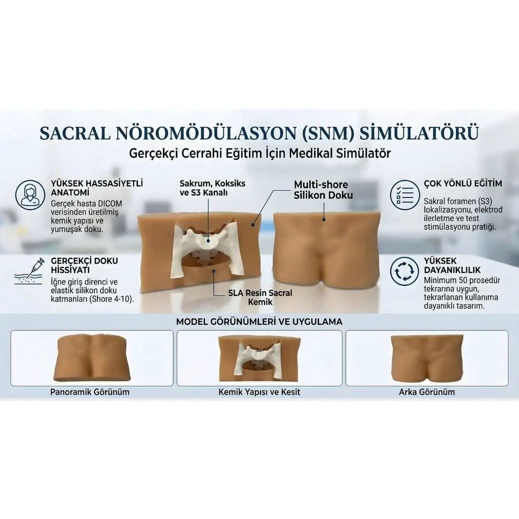 Sacral Neuromodulation (SNM) Simulator - Urology