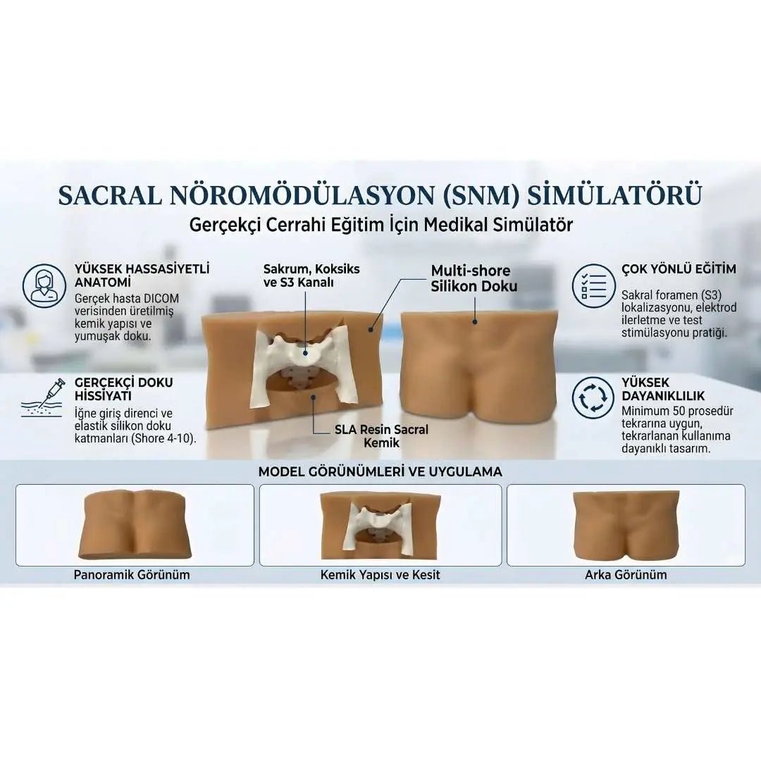 Sacral Neuromodulation (SNM) Simulator - Urology