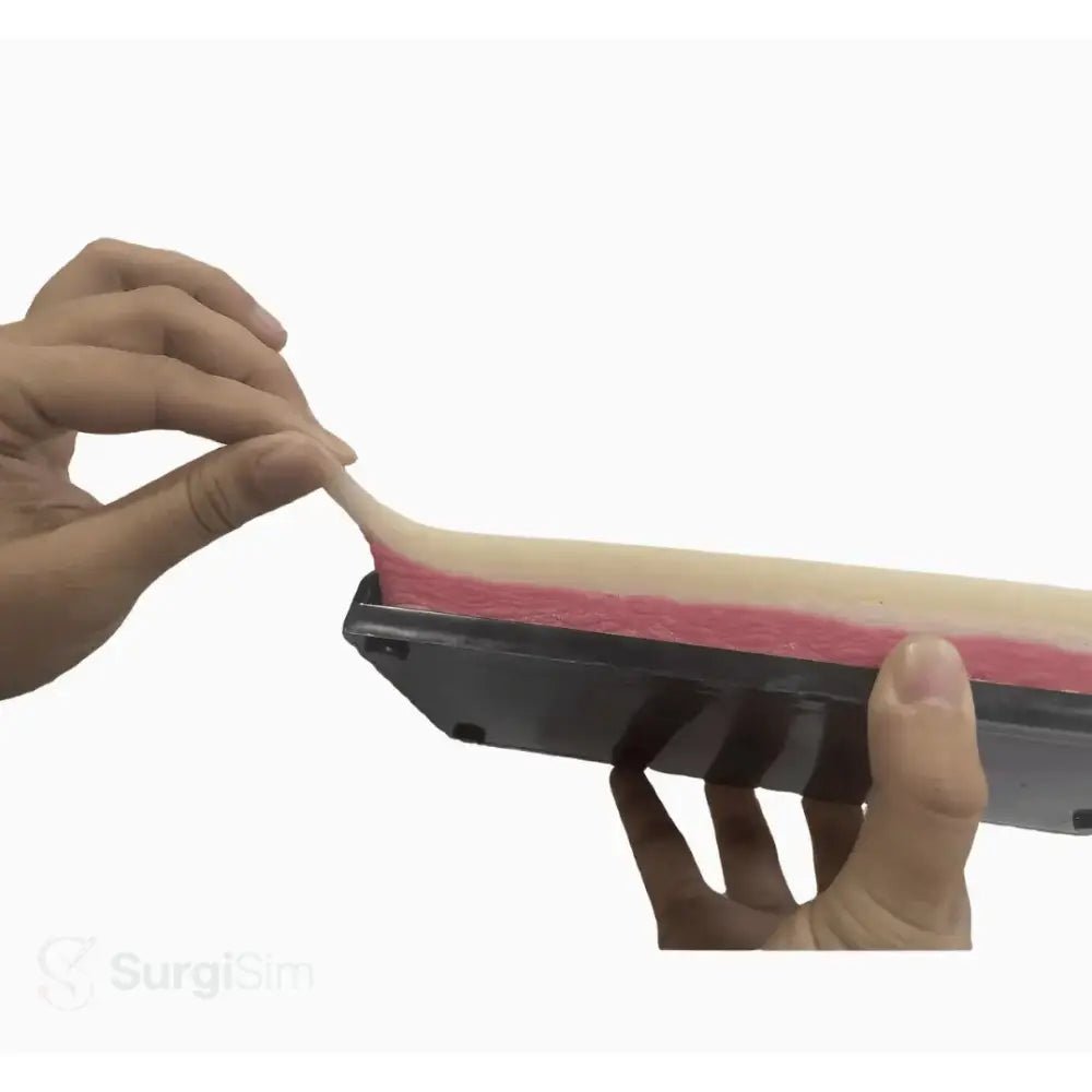 Realistic surgical suturing model with layered structure