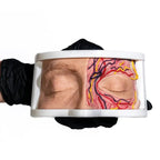 Simulator of Anatomical Eyes - Hair Transplant Mannequin