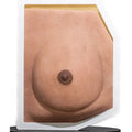 Simulator of Breast - Medical Aesthetics