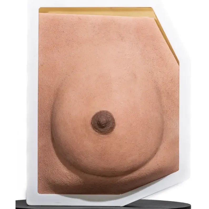 Simulator of Breast - Medical Aesthetics