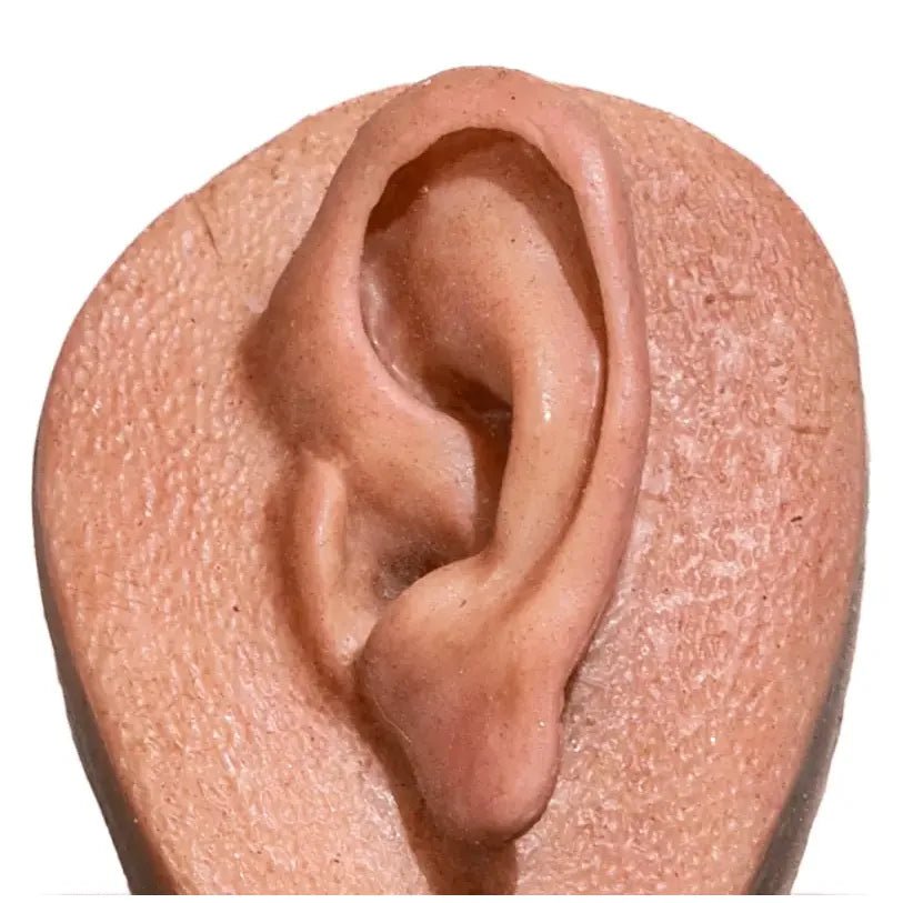 Simulator of Ear - Medical Aesthetics