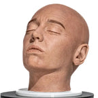 Simulator of Full Head - Medical Aesthetics