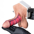 Simulator of Half anatomical penis - Hair Transplant Mannequin