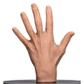 Simulator of Hand - Medical Aesthetics