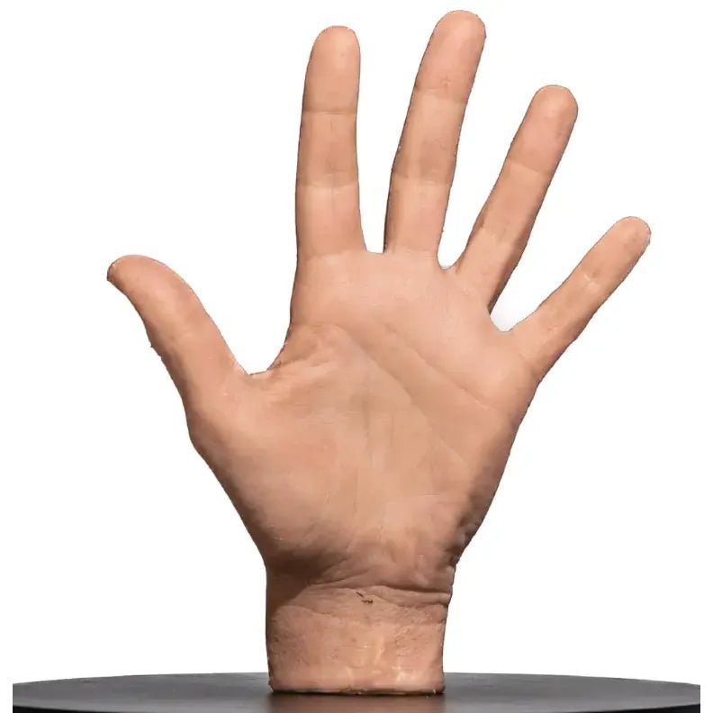 Simulator of Hand - Medical Aesthetics