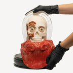 Simulator of Head with 5 layers - Medical Aesthetics