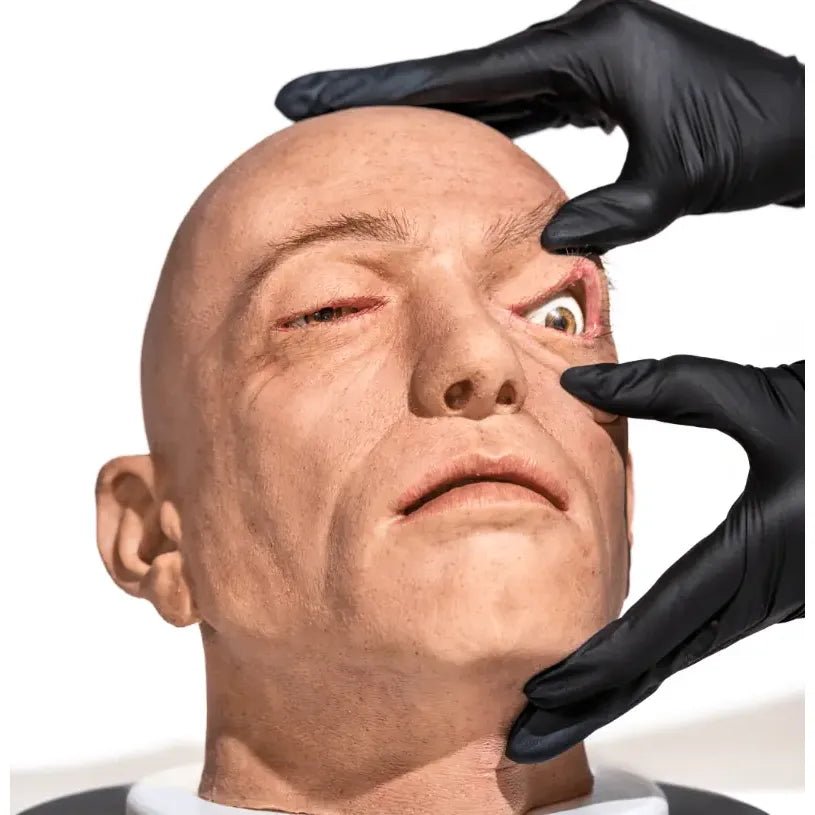Simulator of Head with opening eyes and mouth - Medical Aesthetics