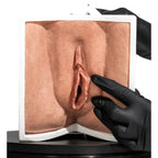 Simulator of Vagina with opening - Medical Aesthetics