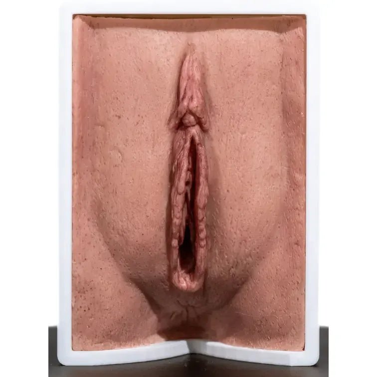 Simulator of Vagina - Medical Aesthetics