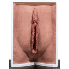 Simulator of Vagina - Medical Aesthetics