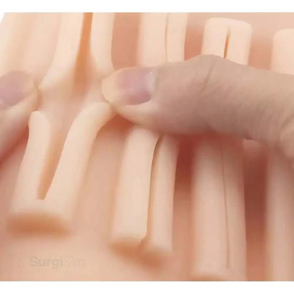 Soft Tissue Suturing Training Model | Silicone Surgical Suture Practice Simulator - Suture Training Pad