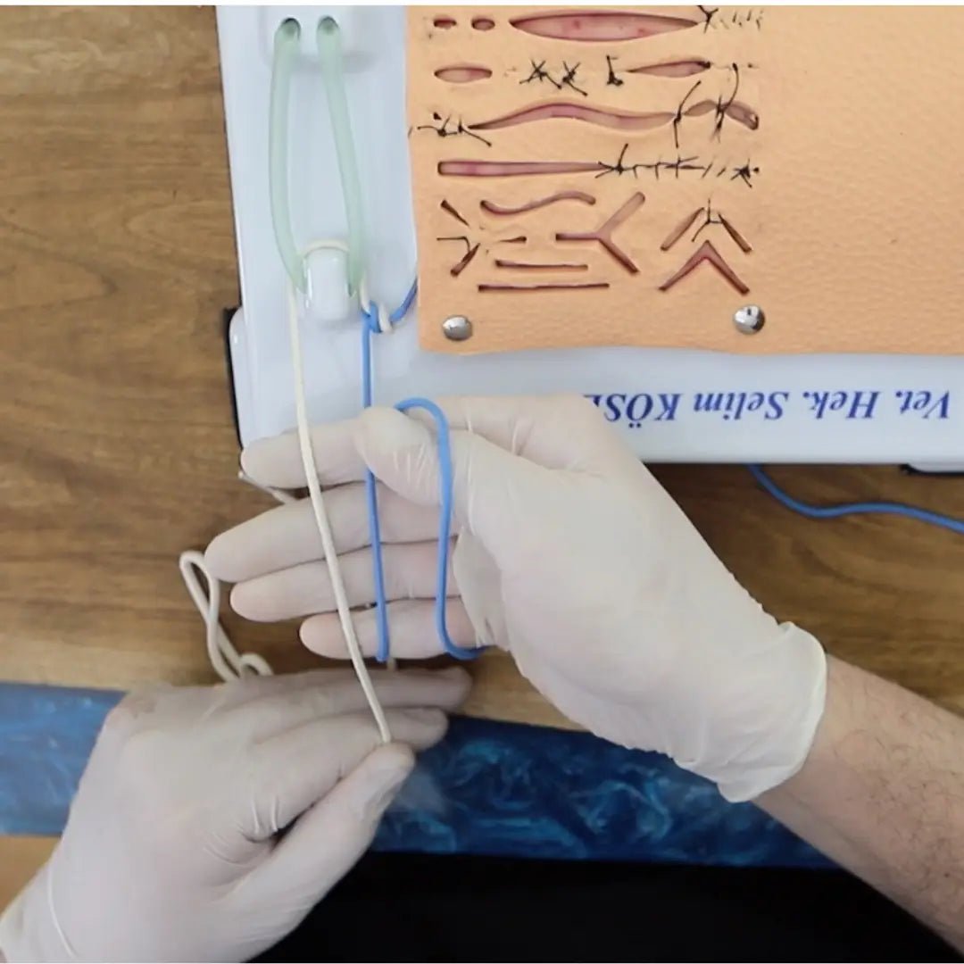 Suture Ligature Anastomosis Training Kit (Pro Kit) - Pro Set
