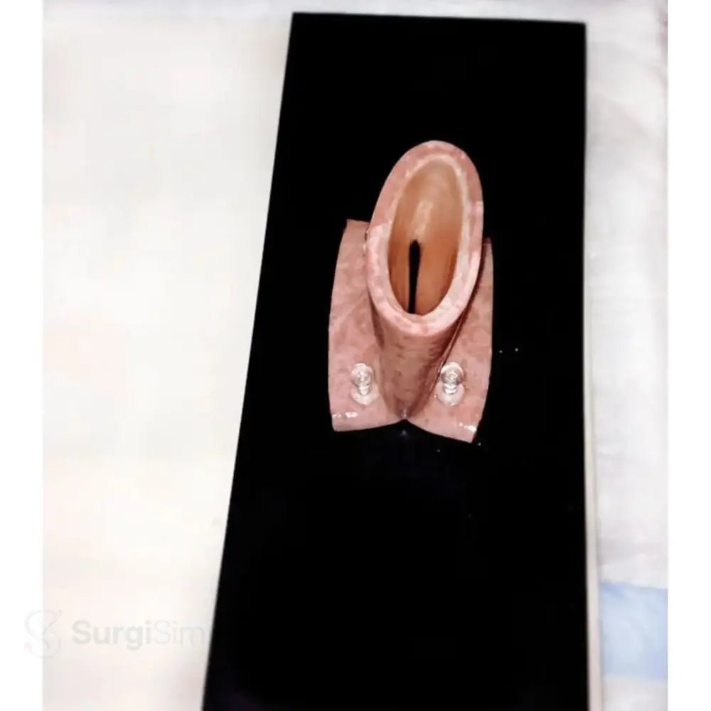 Tissue Mounting Pad | Surgical Training Base for Anastomosis & Suturing Practice - Suture Training Kit