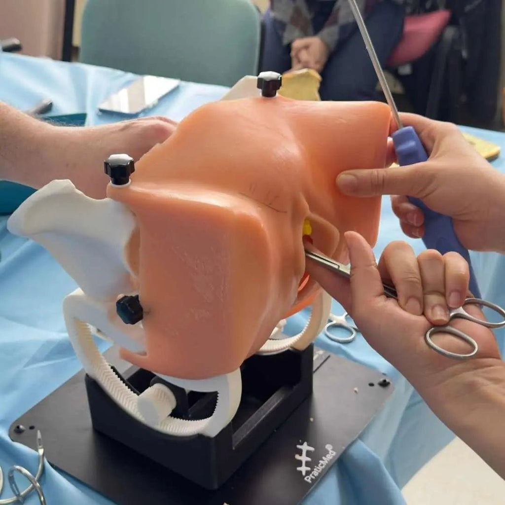 TVT / TOT Surgical Training Model ( 8 pcs, Modular System) - PraticMed - Obstetrics and Gynecology