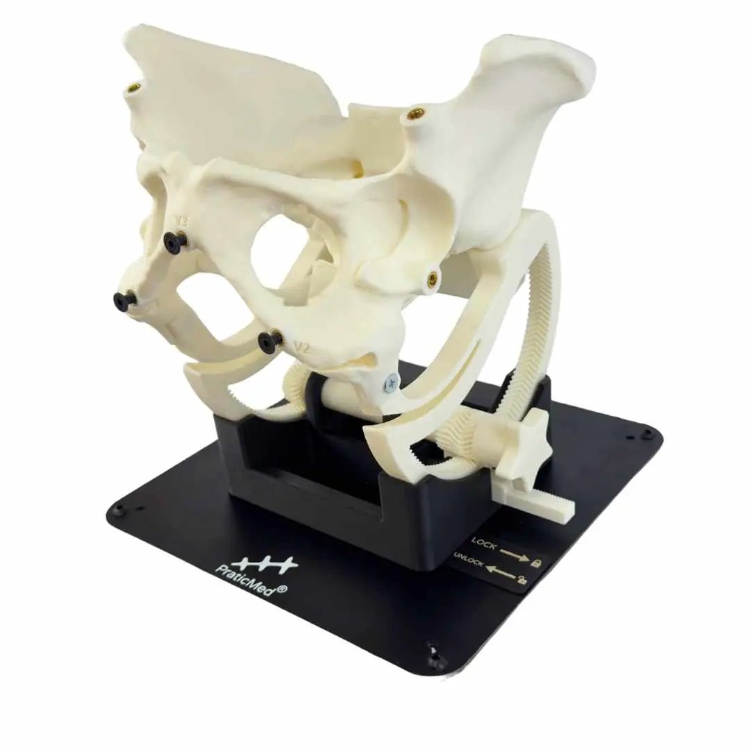 TVT / TOT Surgical Training Model ( 8 pcs, Modular System) - PraticMed - Obstetrics and Gynecology