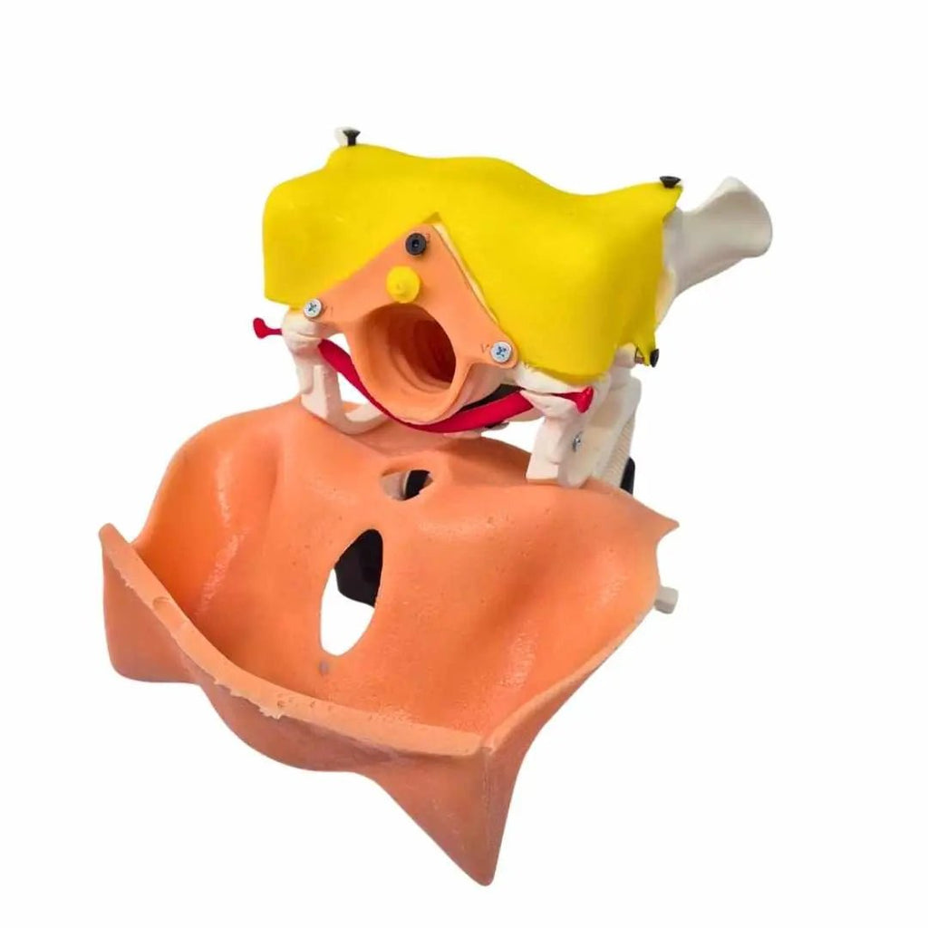 TVT / TOT Surgical Training Model ( 8 pcs, Modular System) - PraticMed - Obstetrics and Gynecology