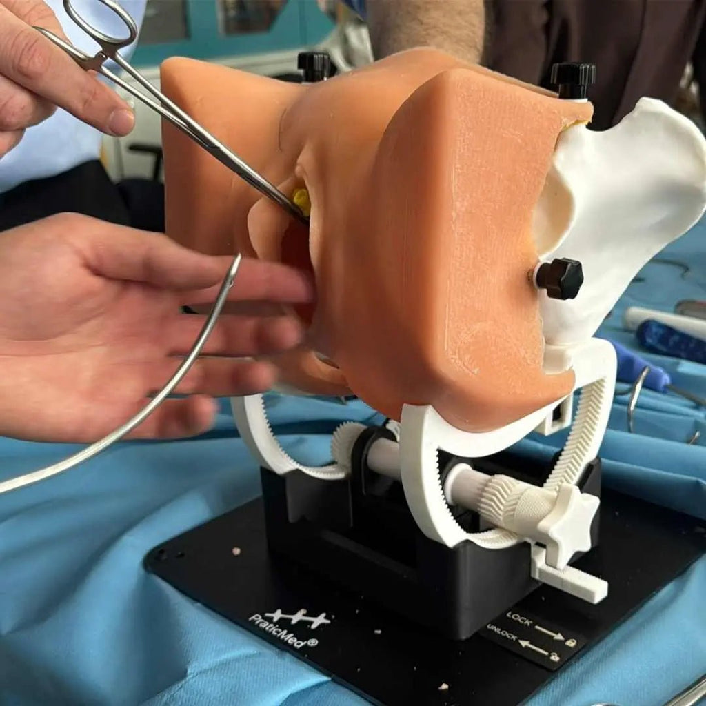TVT / TOT Surgical Training Model ( 8 pcs, Modular System) - PraticMed - Obstetrics and Gynecology