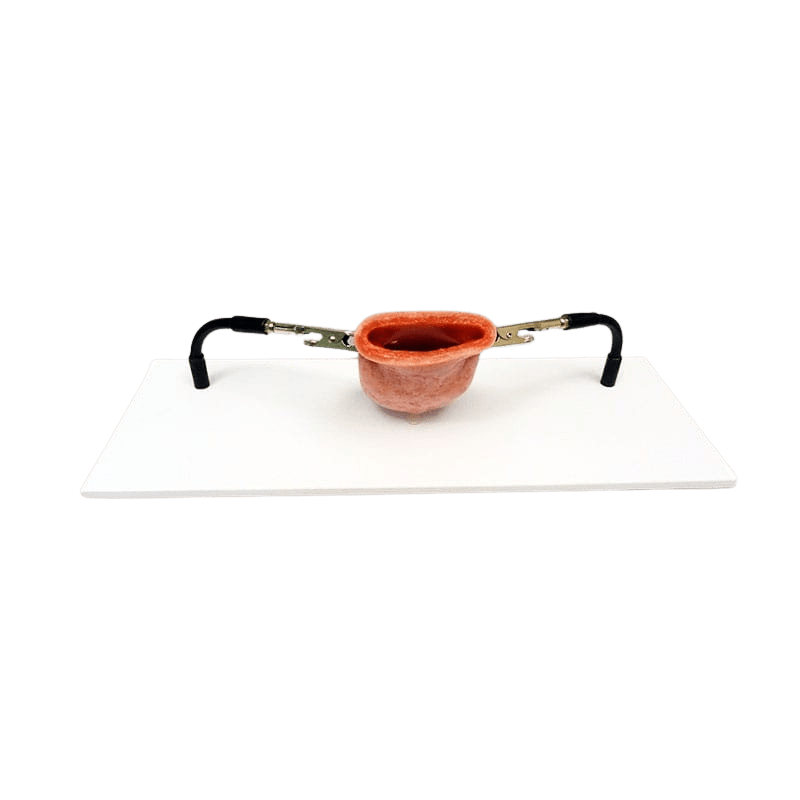 Vaginal Cuff Holder | OB-GYN Surgical Training Base & Stabilisation Platform - Suture Training Kit
