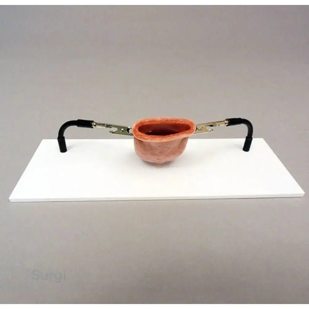 Vaginal Cuff Holder | OB - GYN Surgical Training Base & Stabilisation Platform - Suture Training Kit