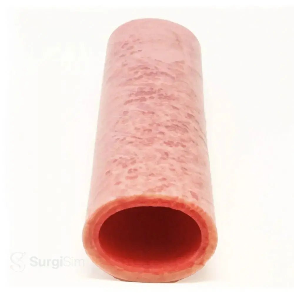 Vaginal Cuff Training Model | Vaginal Cuff Closure Gynaecological Surgical Simulator - Obstetrics, Gynecology & OB/GYN Surgical Simulation Training Models