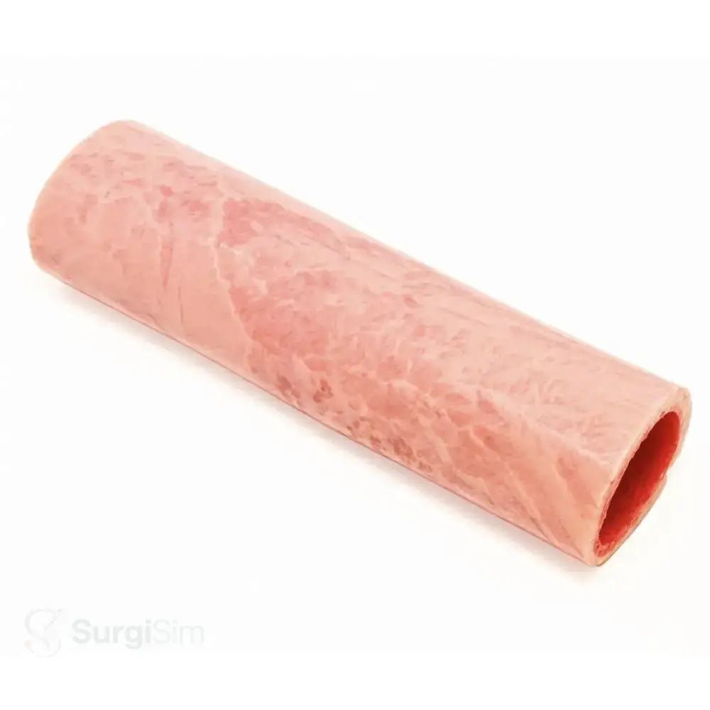 Vaginal Cuff Training Model | Vaginal Cuff Closure Gynaecological Surgical Simulator - Obstetrics, Gynecology & OB/GYN Surgical Simulation Training Models