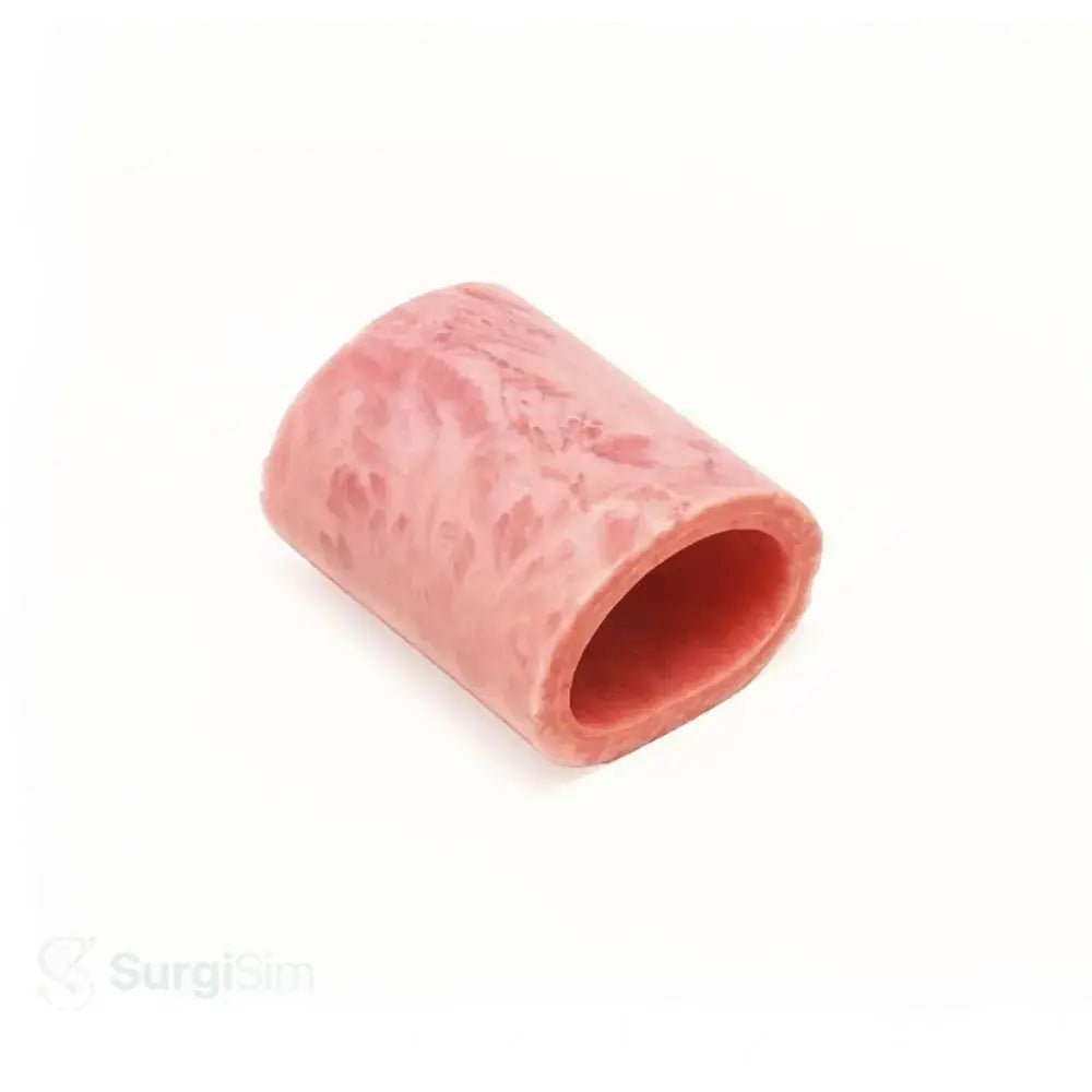 Vaginal Cuff Training Model | Vaginal Cuff Closure Gynaecological Surgical Simulator - Obstetrics, Gynecology & OB/GYN Surgical Simulation Training Models