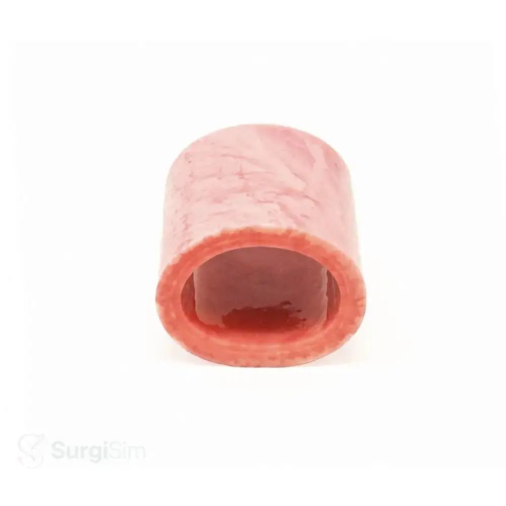 Vaginal Cuff Training Model | Vaginal Cuff Closure Gynaecological Surgical Simulator - Obstetrics, Gynecology & OB/GYN Surgical Simulation Training Models