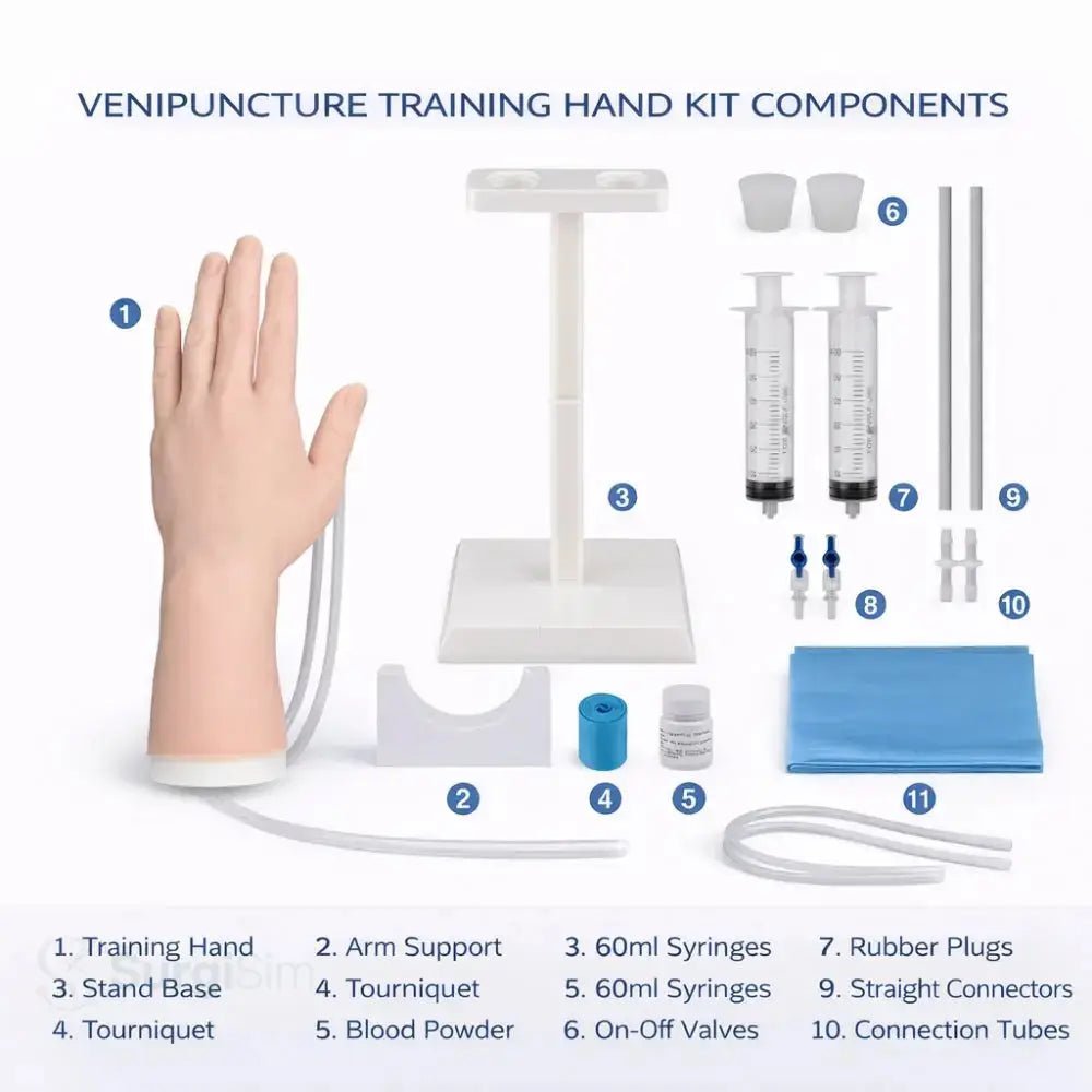Clinical skills training hand