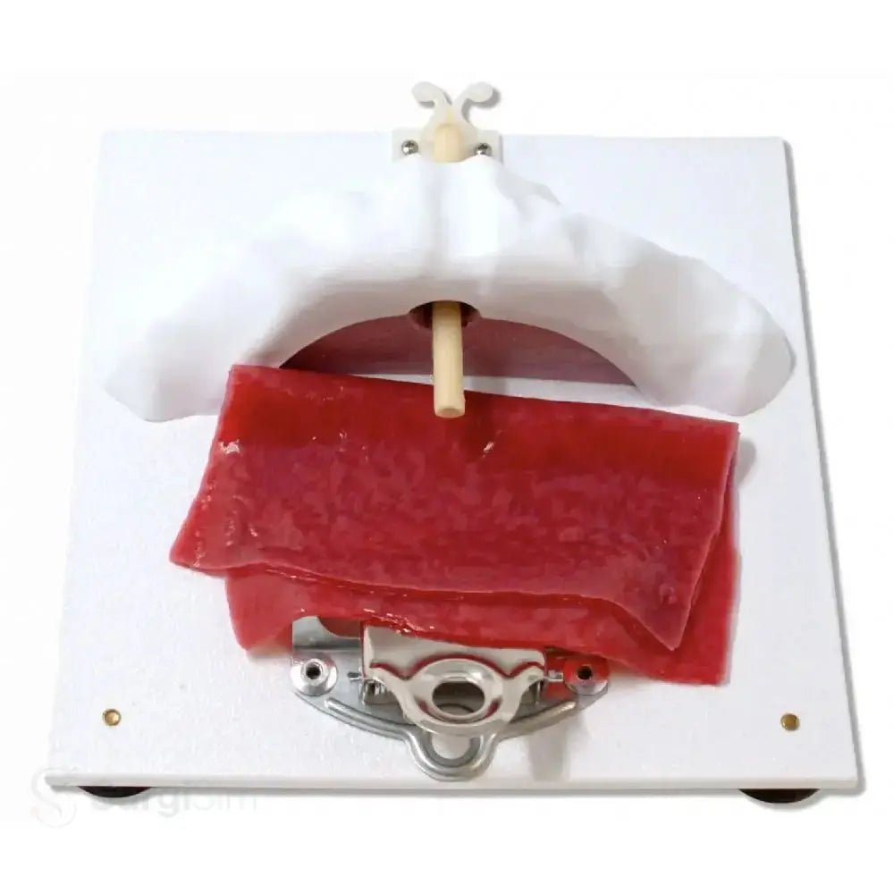 Vesico - Urethral Holder | Urology Surgical Training Base for Anastomosis Practice - Suture Training Kit