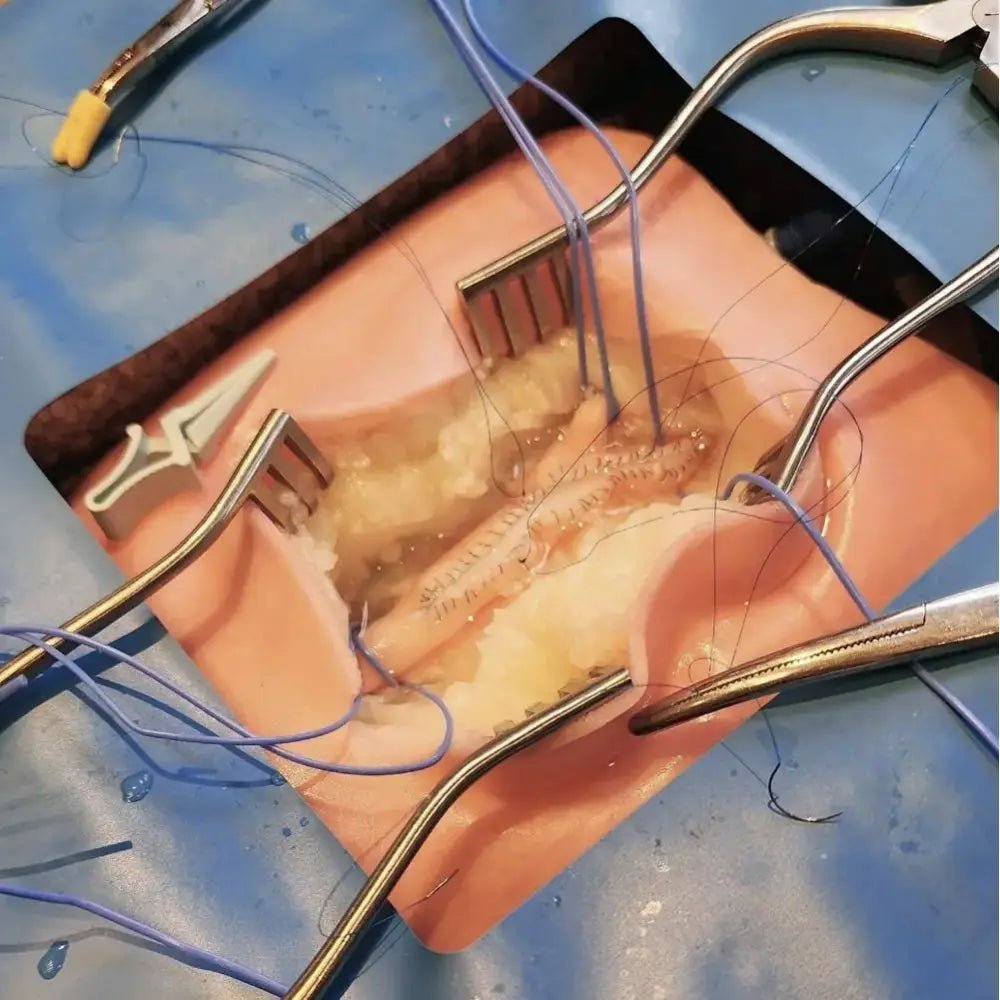 VI Box Surgical Simulator | Vascular & Surgical Skills Training System - Vascular Surgery & Anastomosis Surgical Training Models