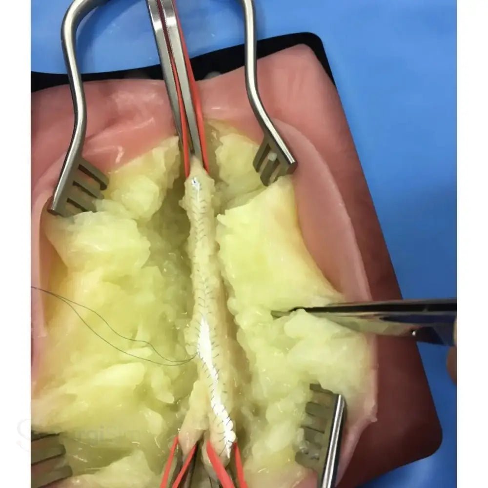 VI Box Surgical Simulator | Vascular & Surgical Skills Training System - Vascular Surgery & Anastomosis Surgical Training Models