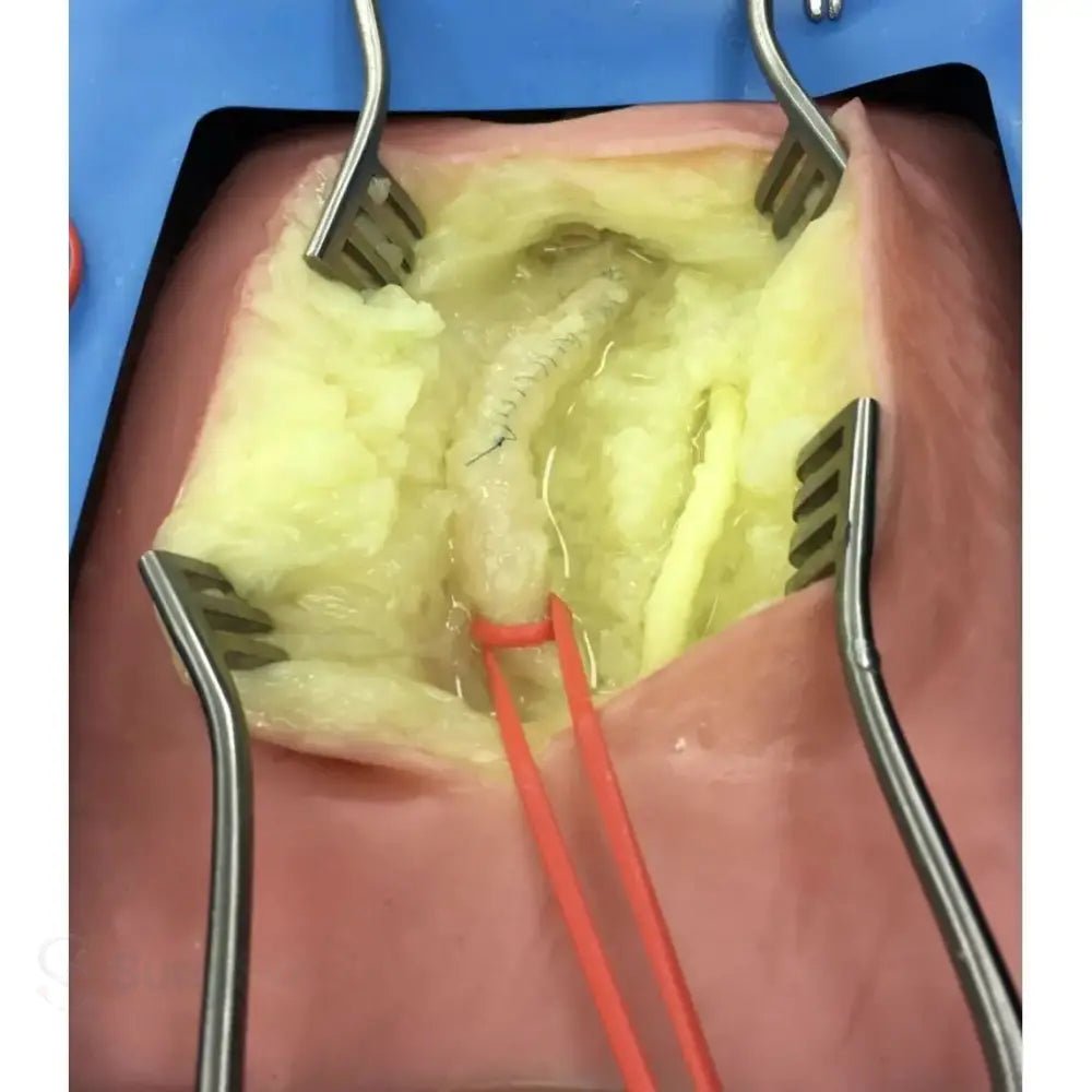 VI Box Surgical Simulator | Vascular & Surgical Skills Training System - Vascular Surgery & Anastomosis Surgical Training Models
